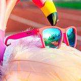 Goodr Flamingos On A Booze Cruise Sunglasses
