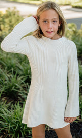 Design History Long Sleeve Tan Suede Dress