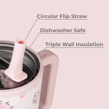 HydroJug Traveler, 20oz